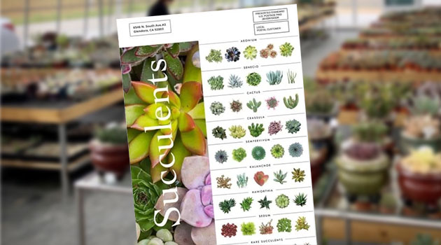 sell sheet for succulents business