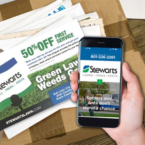 direct mailer with cell phone