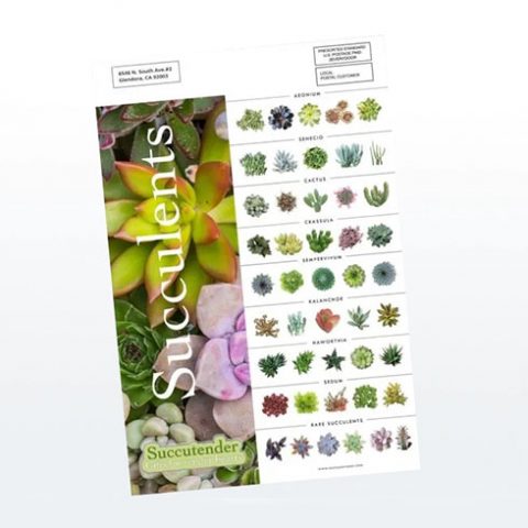 direct-mail-sell-sheet