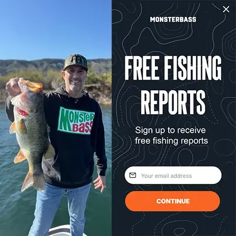 lead generation form monster bass